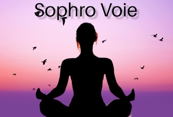 You are currently viewing ASSOCIATION SOPHRO VOIE